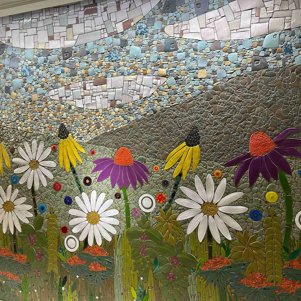 tahoeboulder.bsky.social's profile picture