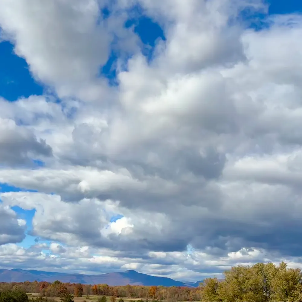 see-cee.bsky.social's profile picture