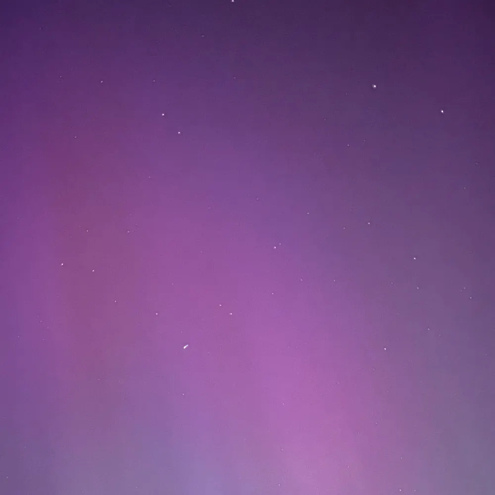 notamoneytree.bsky.social's profile picture