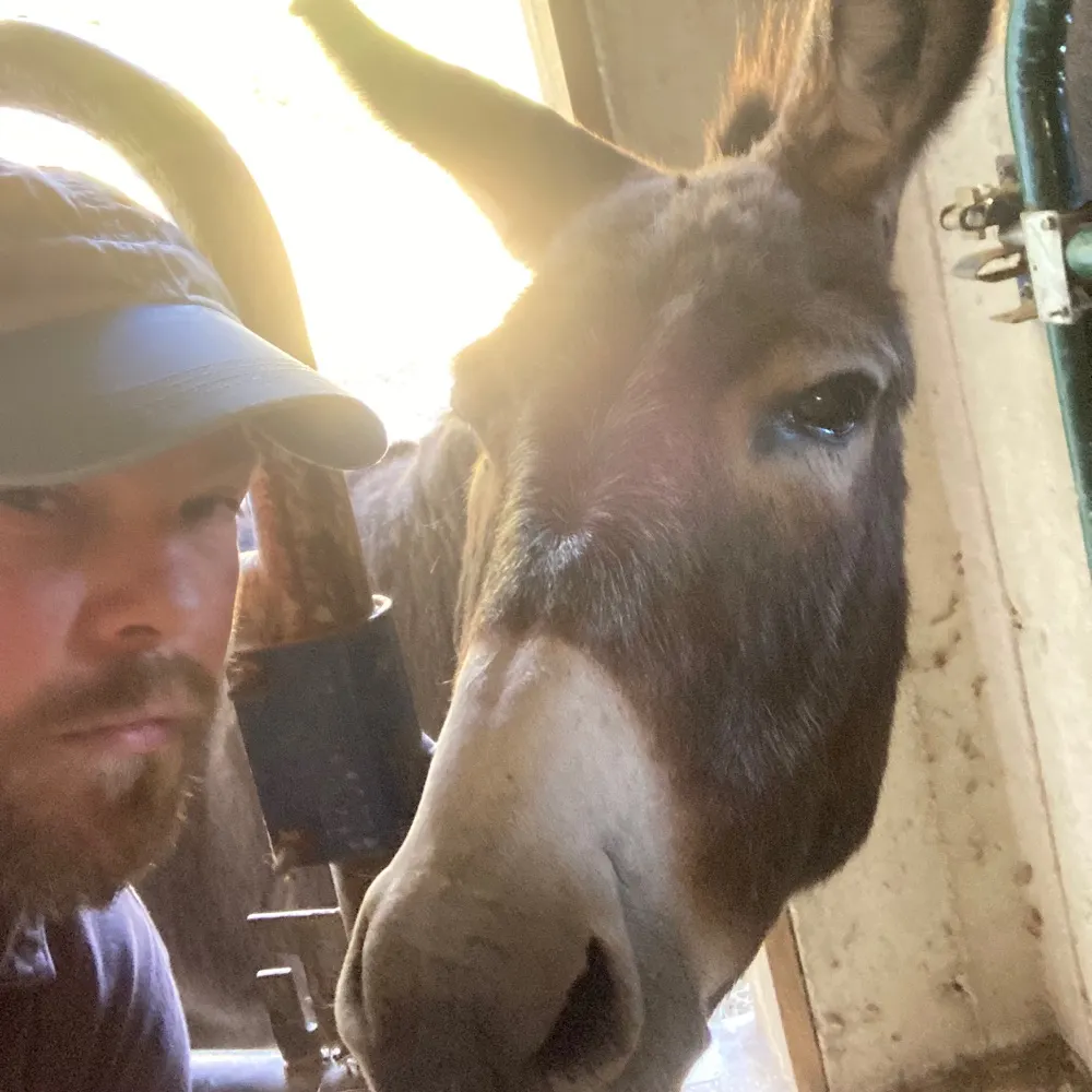 wormwood23.bsky.social's profile picture