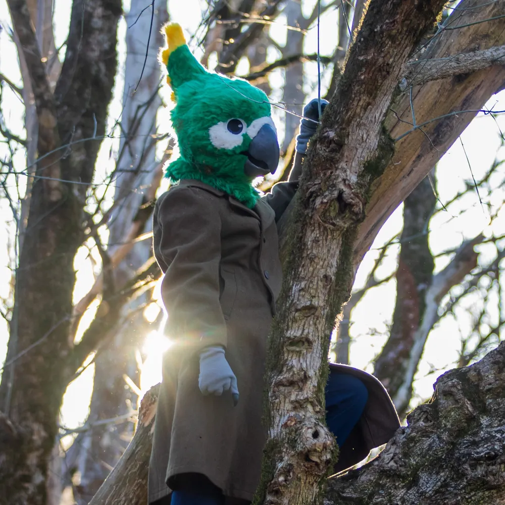 mcmuffinbird.bsky.social's profile picture