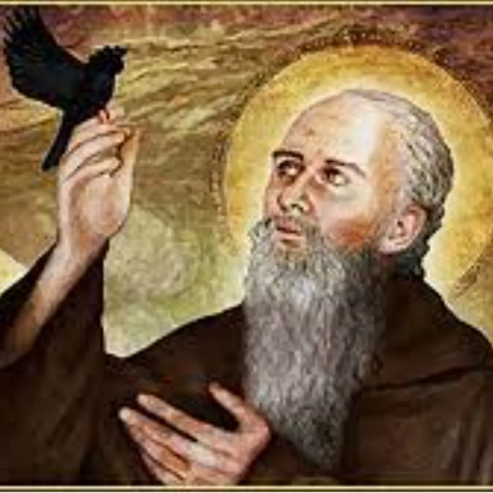 ricaoimhin.bsky.social's profile picture