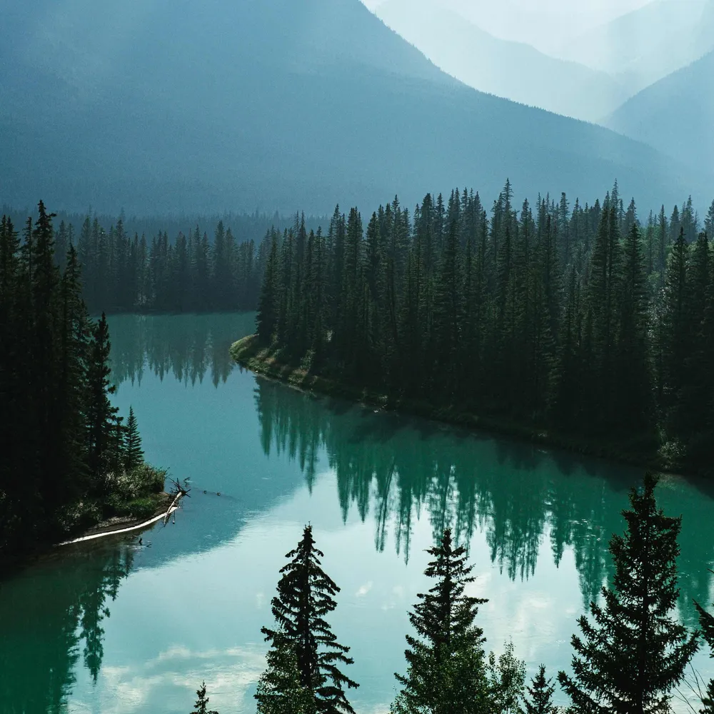 twpolk.bsky.social's profile picture