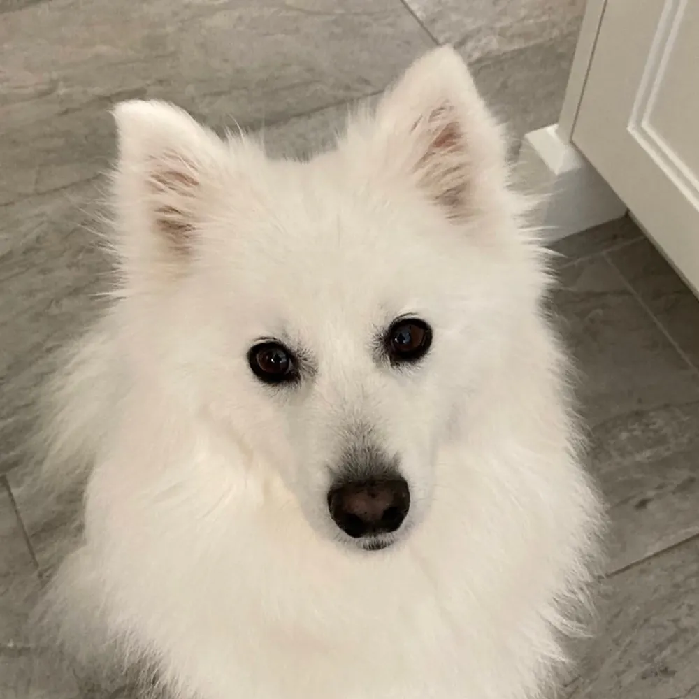 tashaspunsugar.bsky.social's profile picture