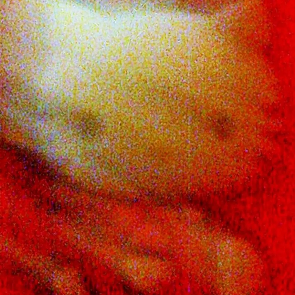 bagpusskitty.bsky.social's profile picture