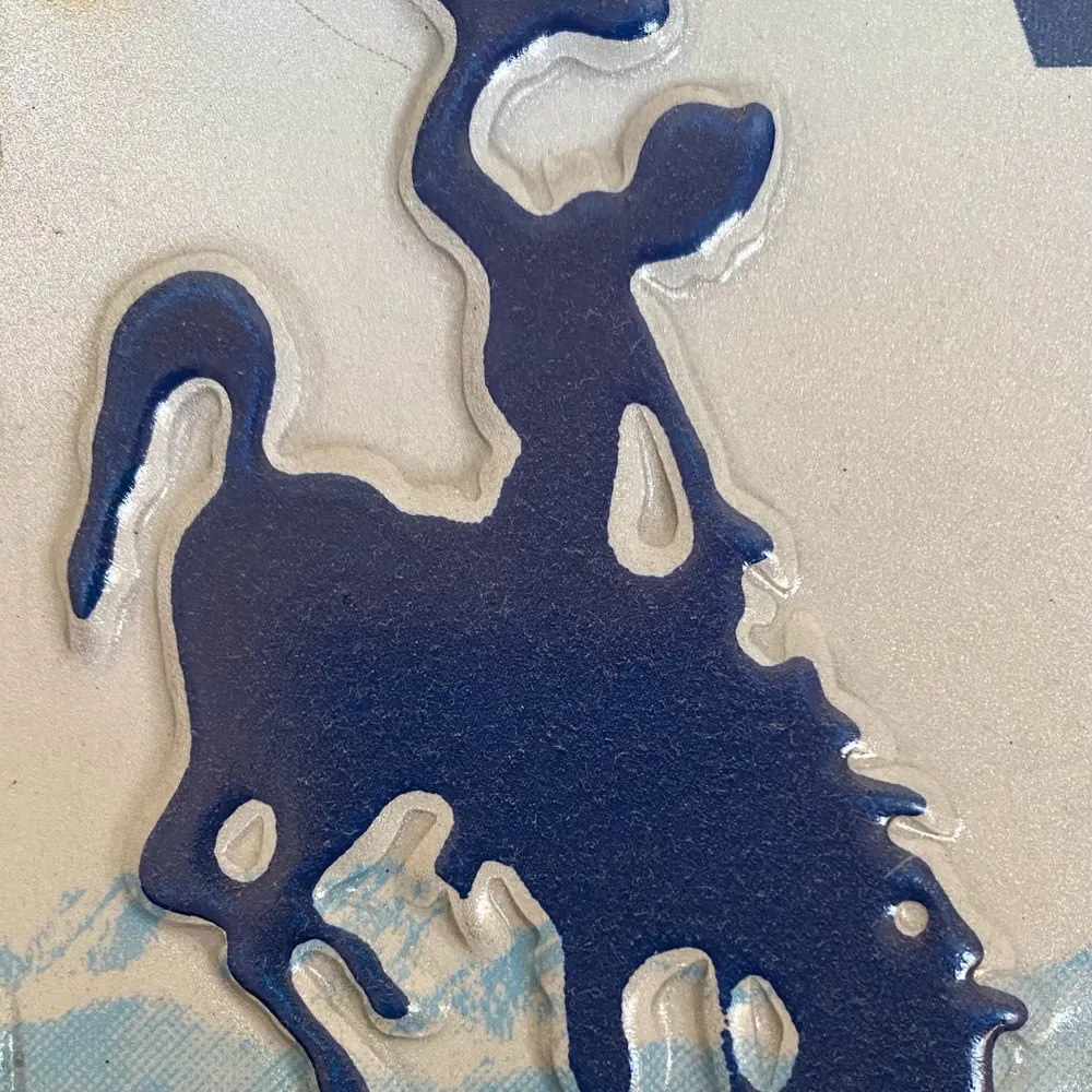 wyobronco.bsky.social's profile picture