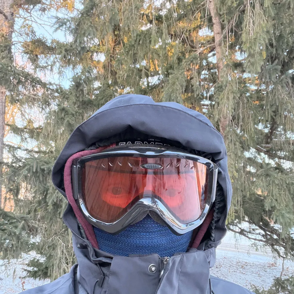 monax.bsky.social's profile picture