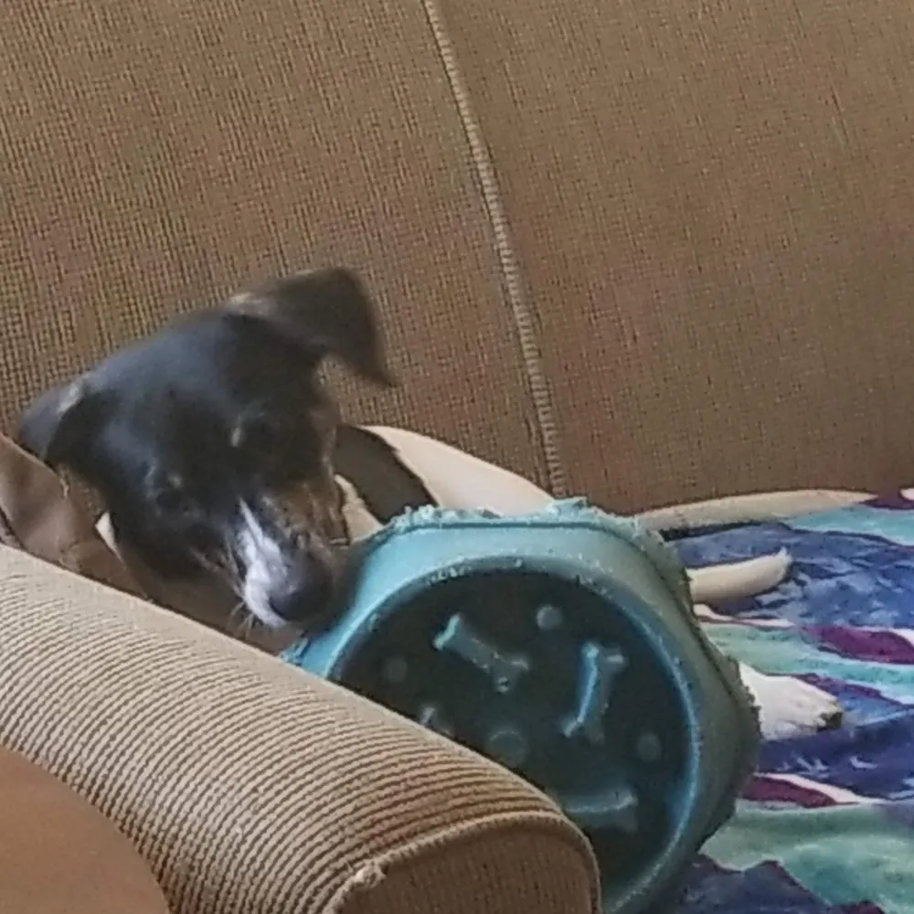 michaelismad.bsky.social's profile picture