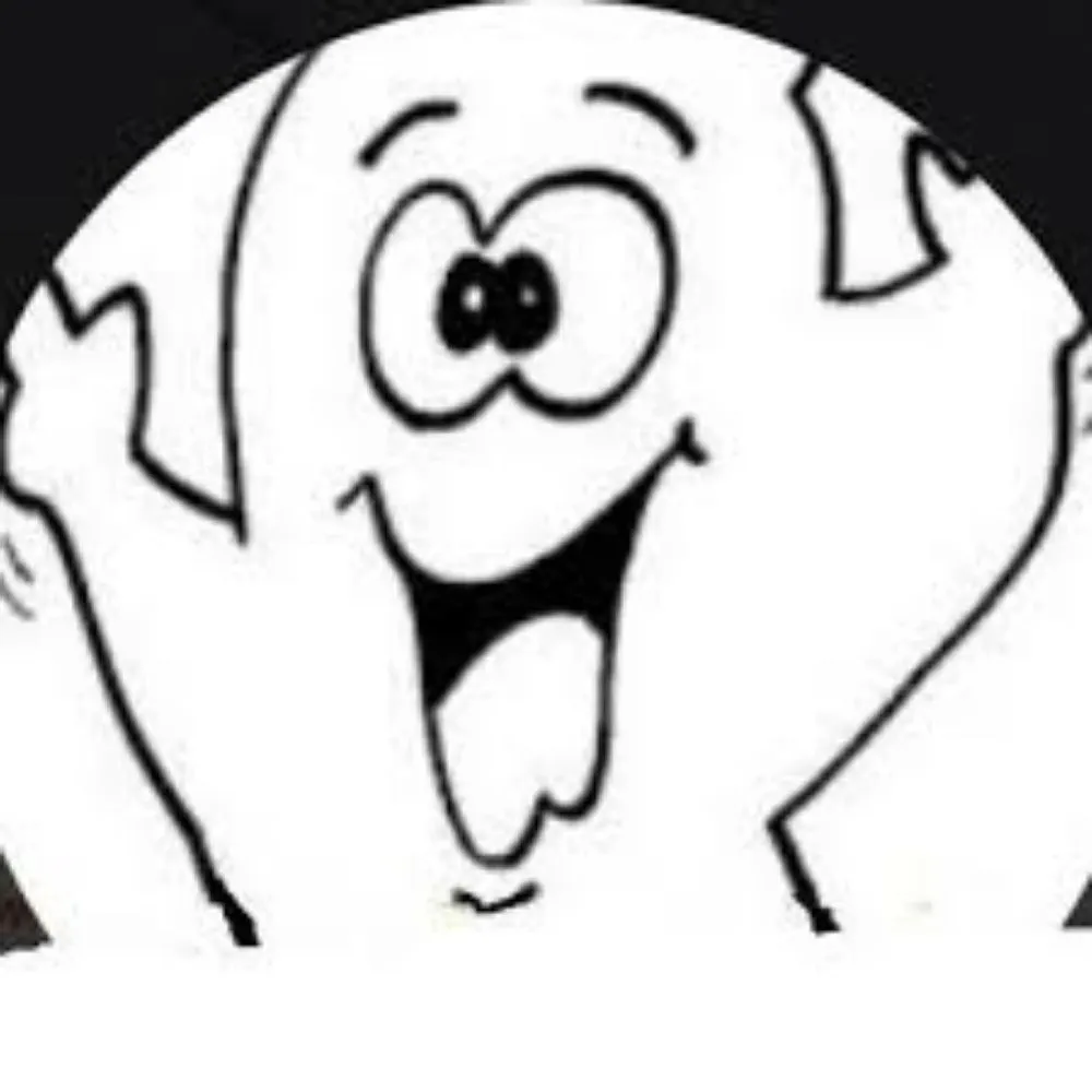 pensioenspook666.bsky.social's profile picture