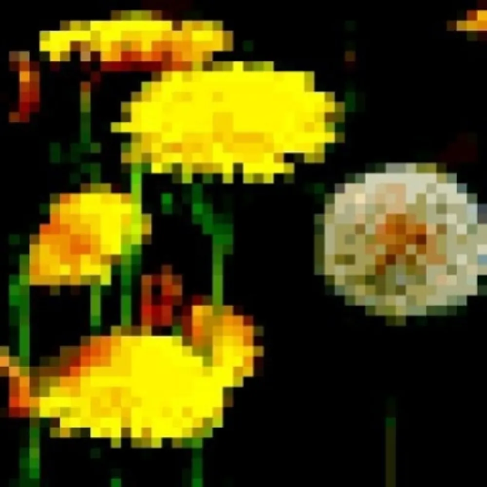 taraxaruncation.bsky.social's profile picture