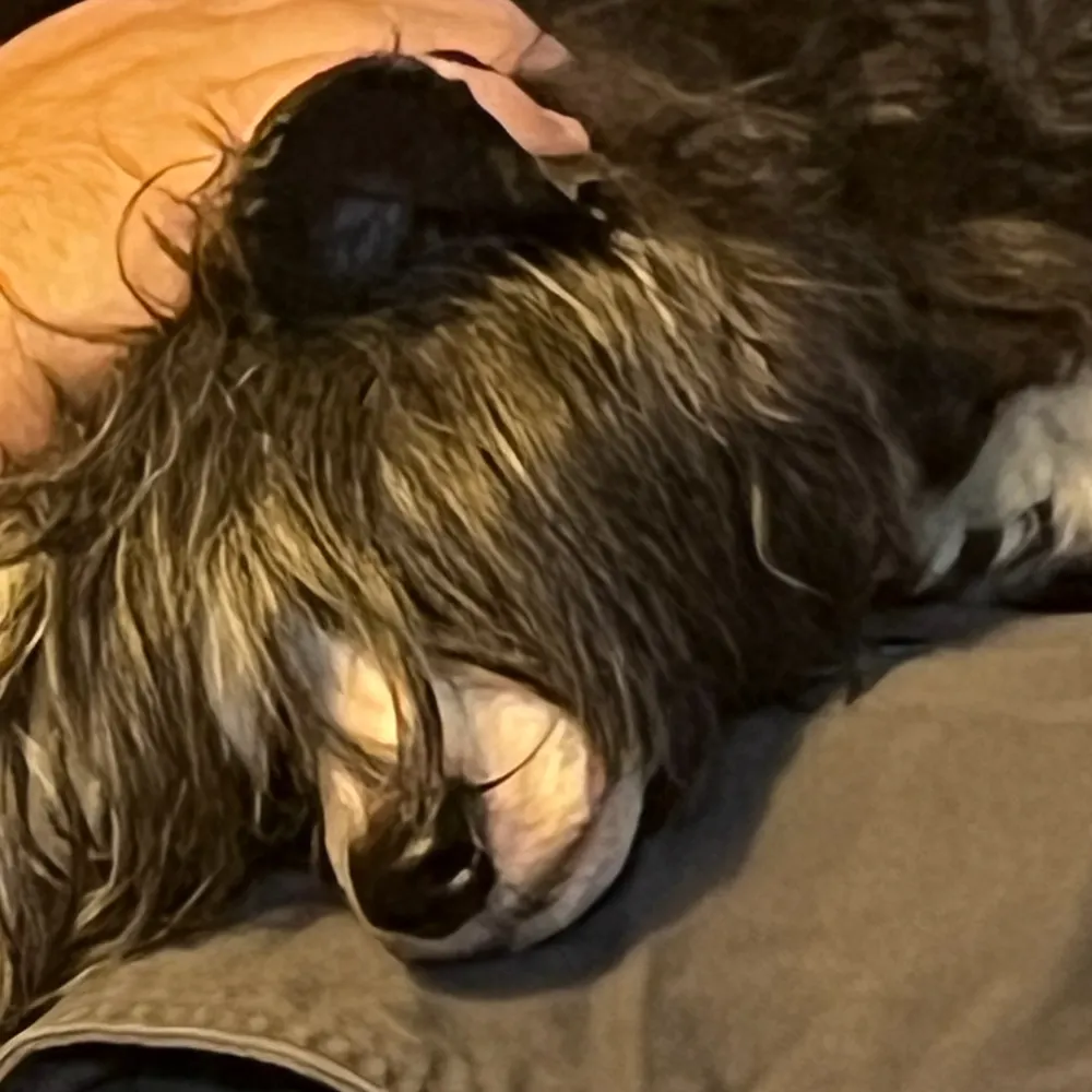 johndbro1.bsky.social's profile picture