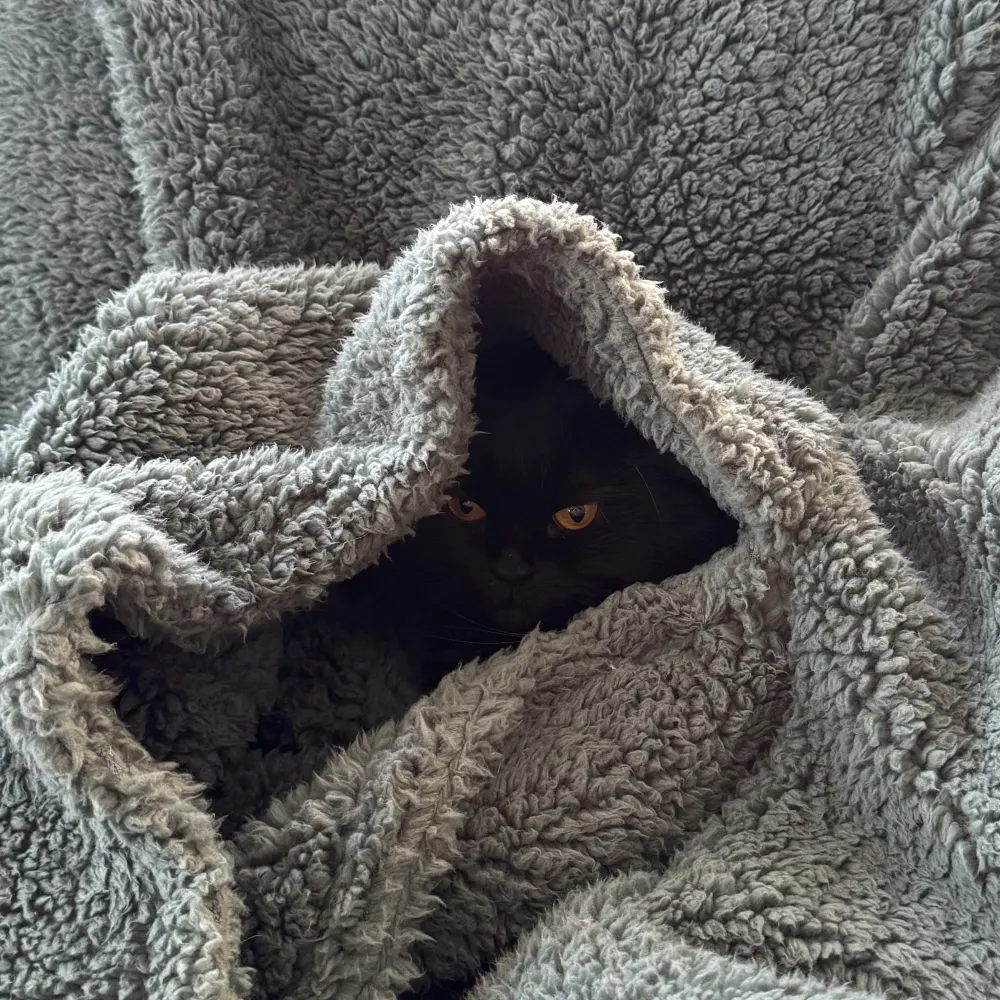 legobutts.bsky.social's profile picture