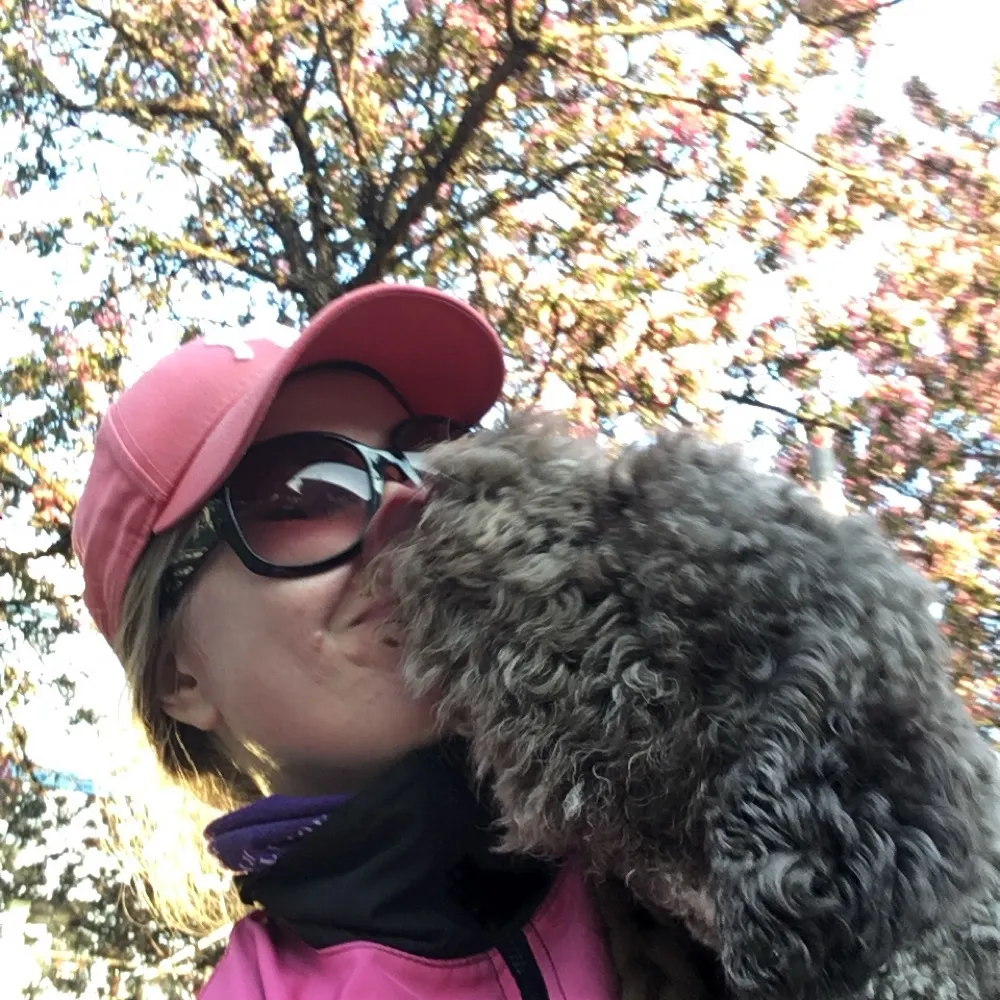 skoivula.bsky.social's profile picture