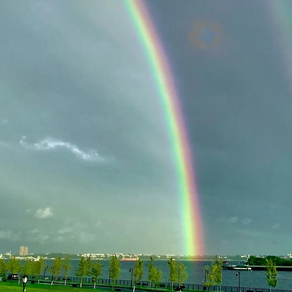 daroob.bsky.social's profile picture