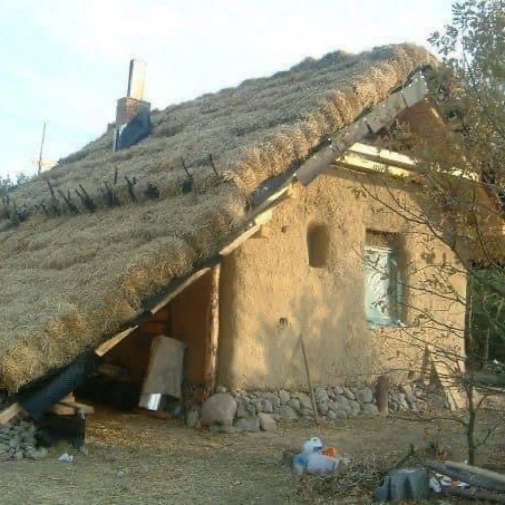 tmgibs.bsky.social's profile picture