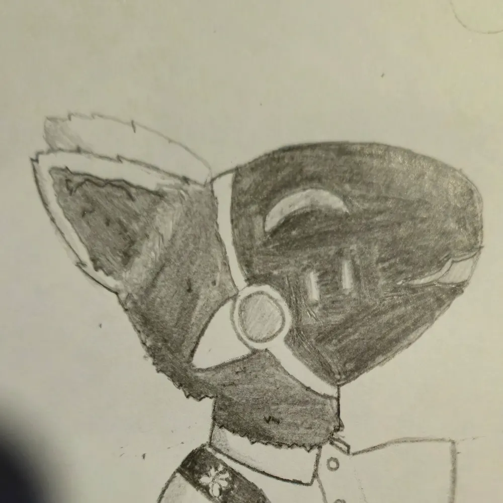 kanonen-futter.bsky.social's profile picture