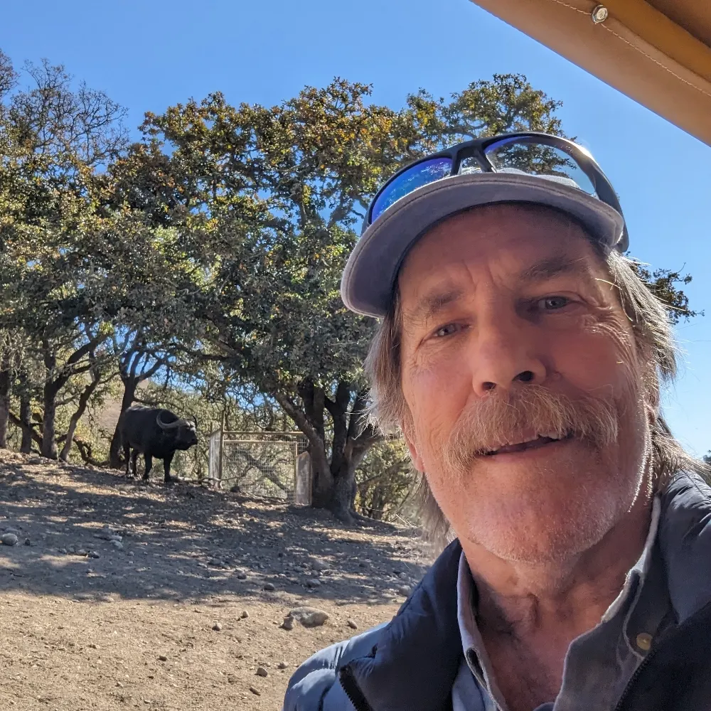 upyoursnazi.bsky.social's profile picture