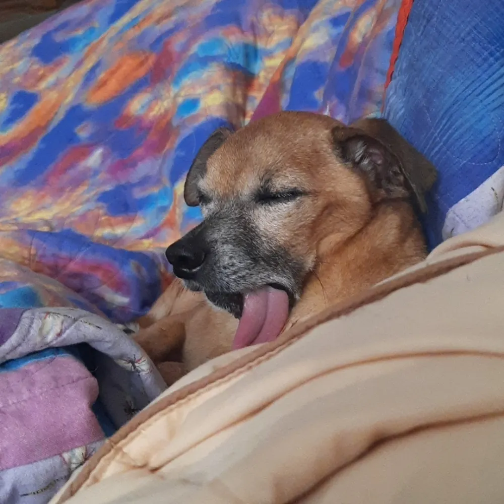 marfyroo24.bsky.social's profile picture