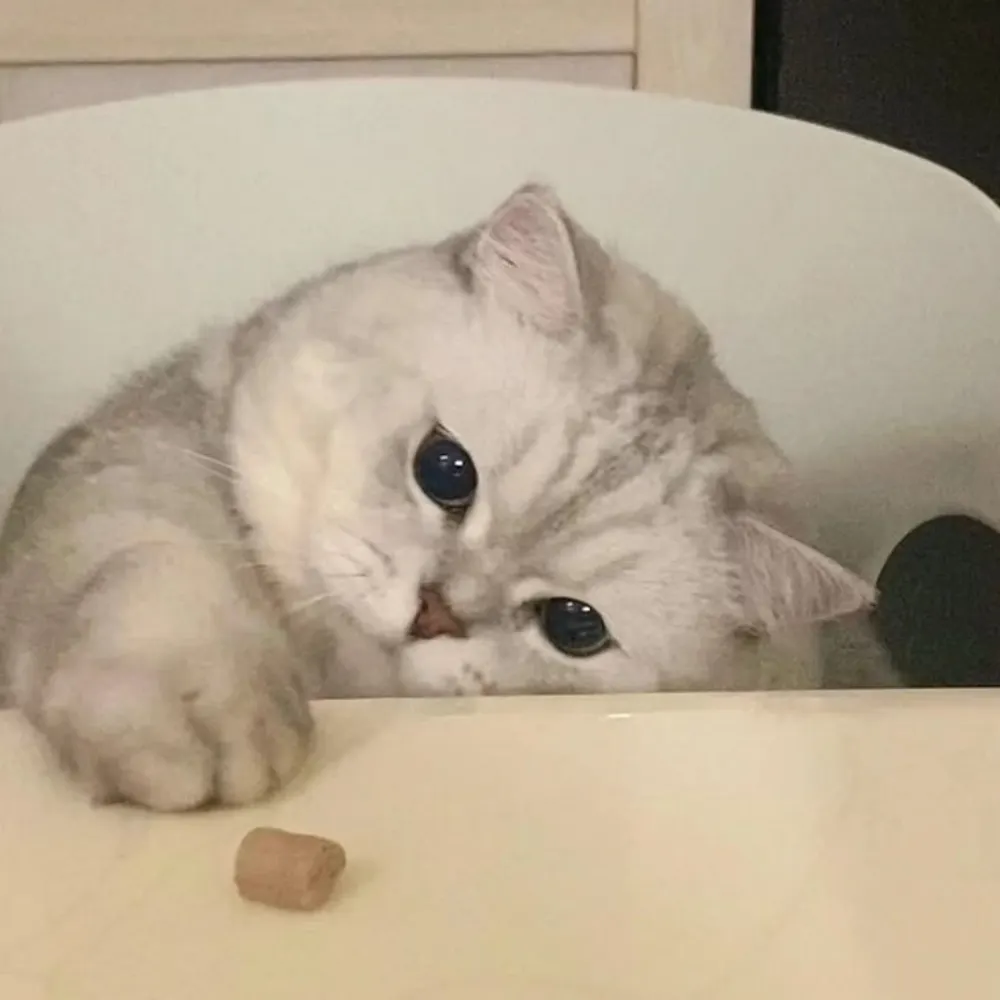 samhex.bsky.social's profile picture