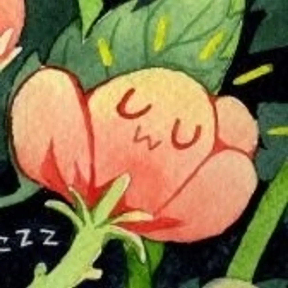 sleepimali.bsky.social's profile picture