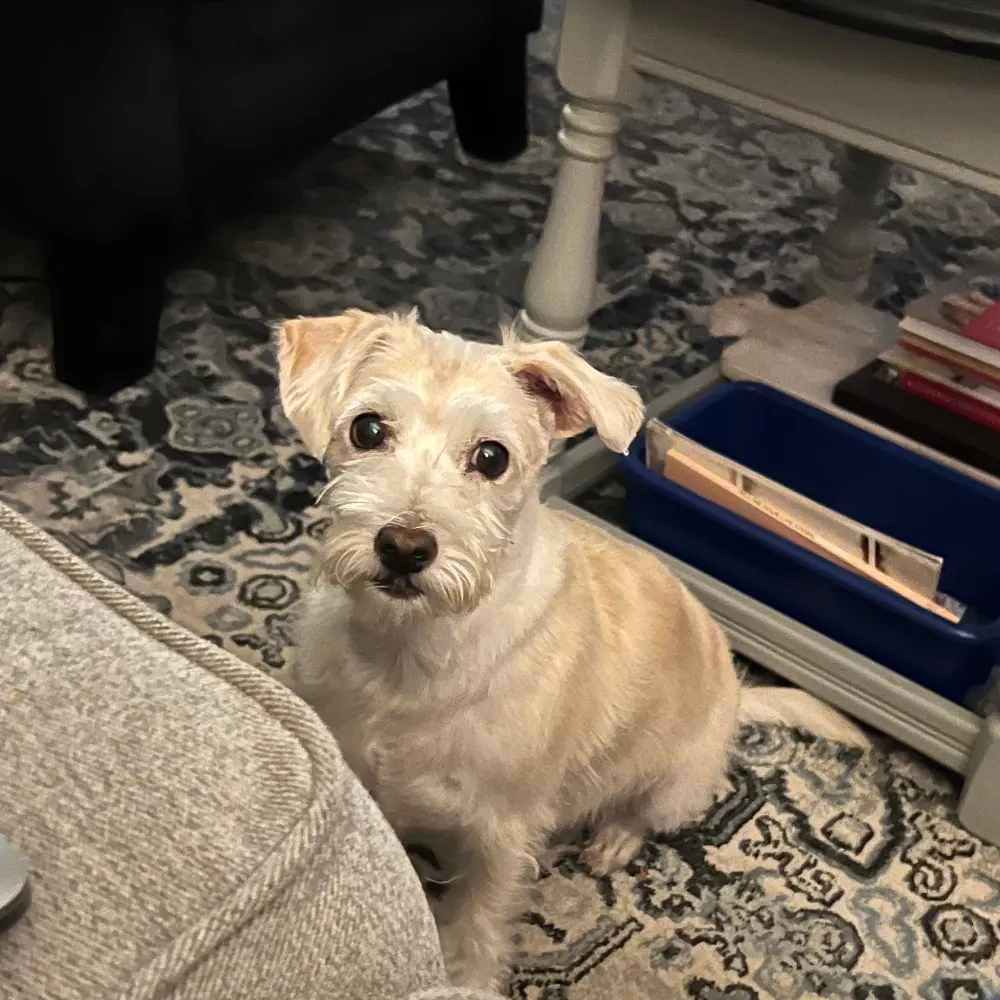 catherinetay.bsky.social's profile picture