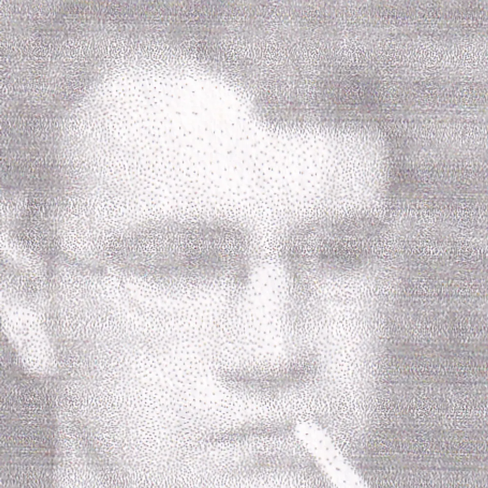 aldercheems.bsky.social's profile picture