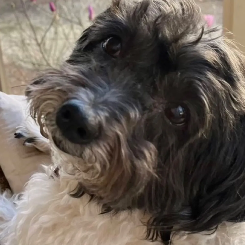 shipperxphile.bsky.social's profile picture