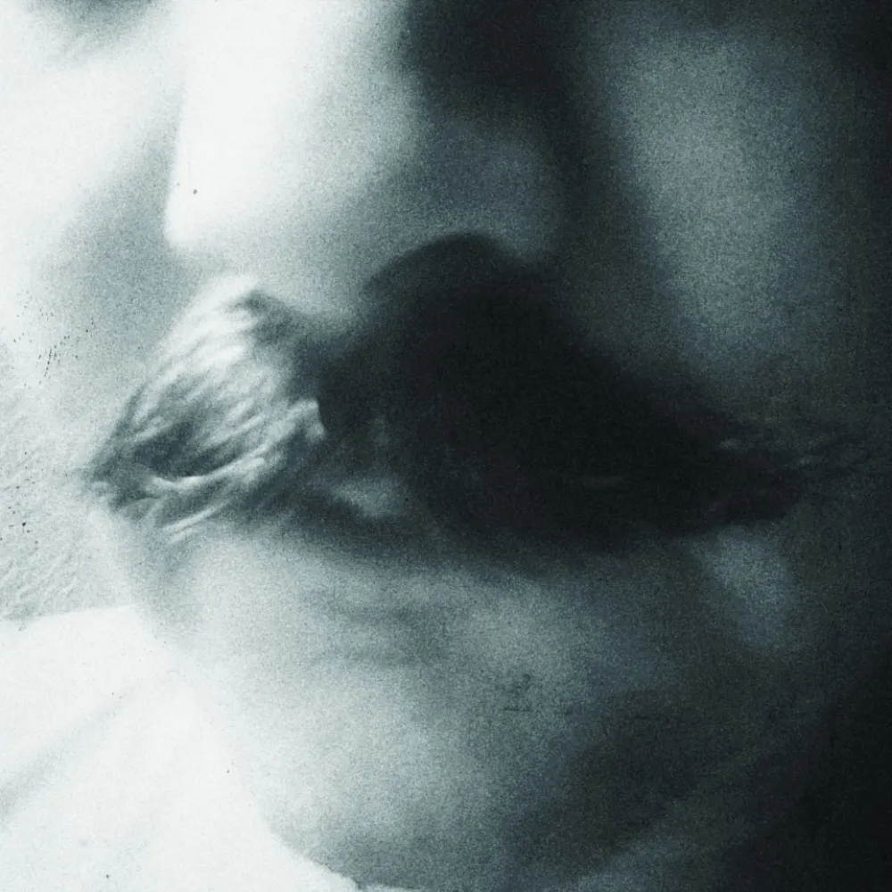 painedumonde.bsky.social's profile picture