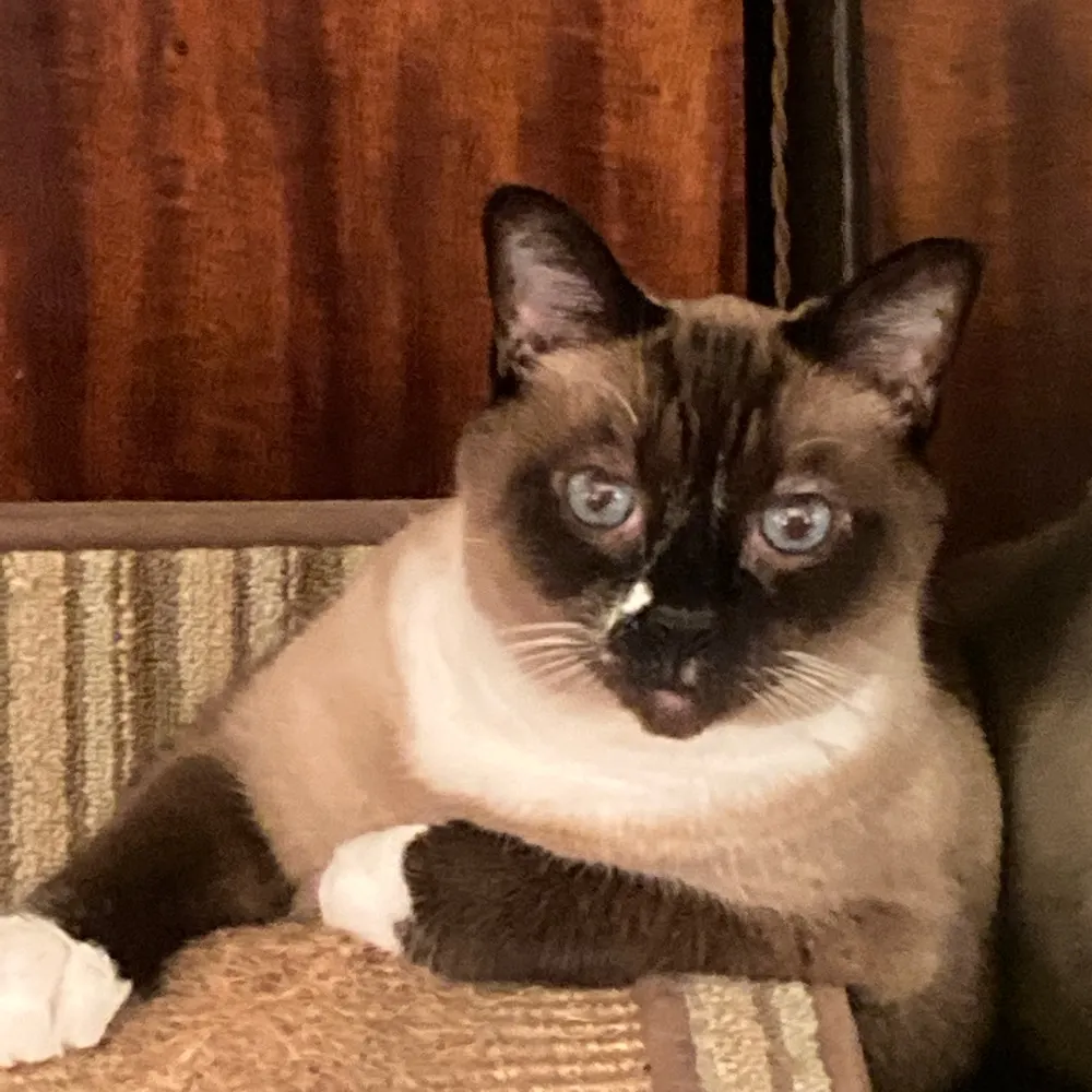 fifteenmoons.bsky.social's profile picture