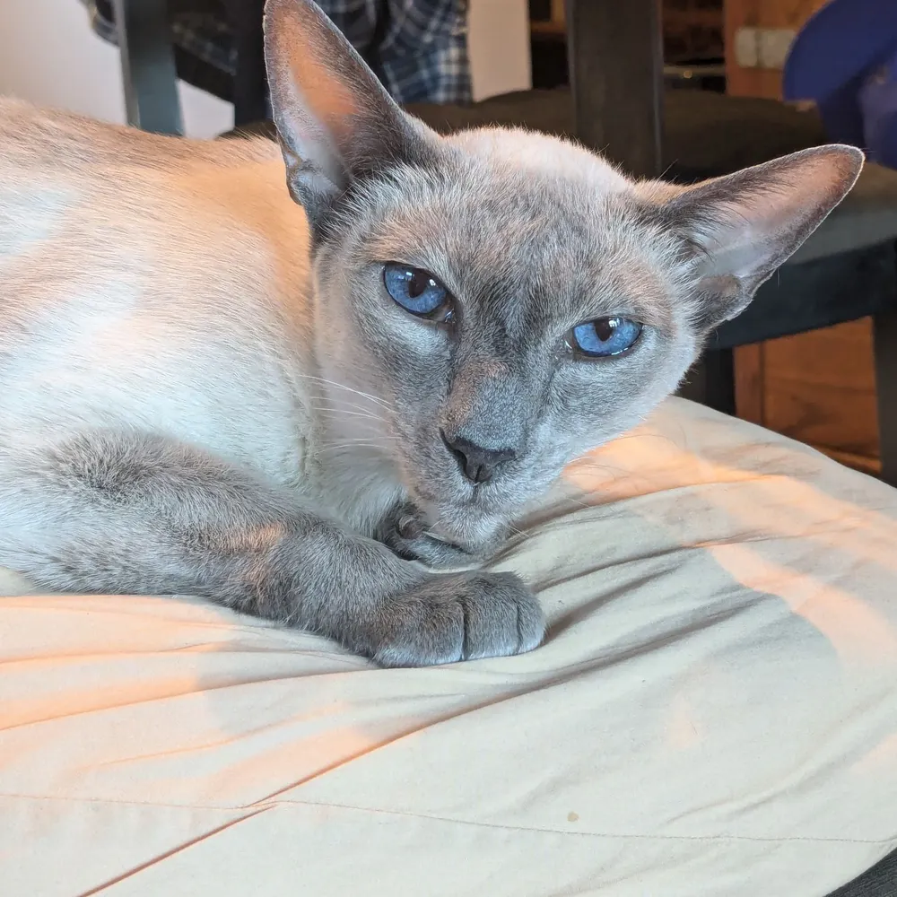 michaelbrennick.bsky.social's profile picture