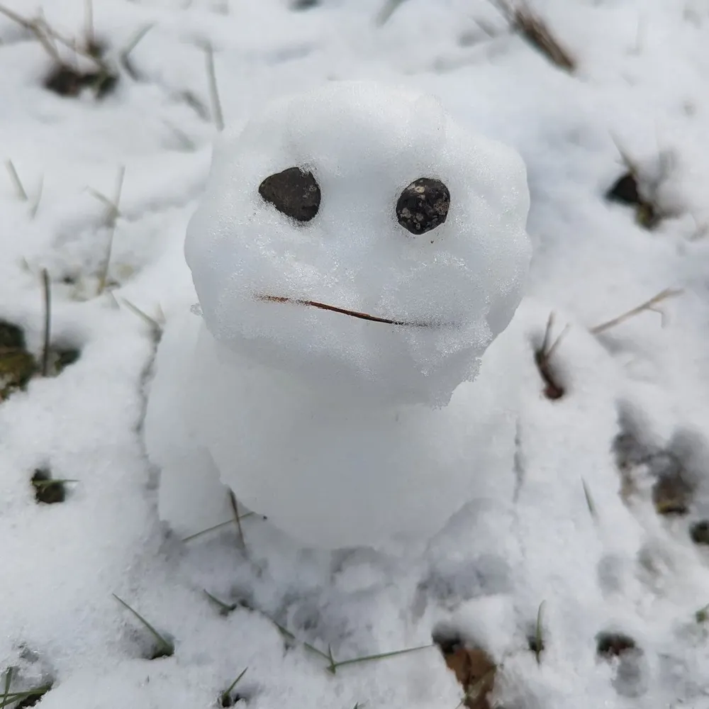 fbos.bsky.social's profile picture