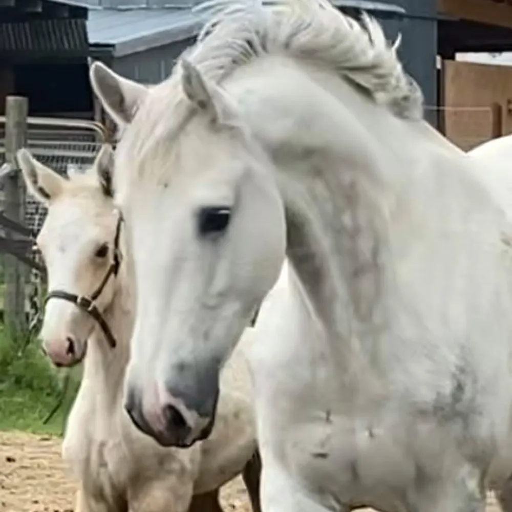 bekind2.bsky.social's profile picture