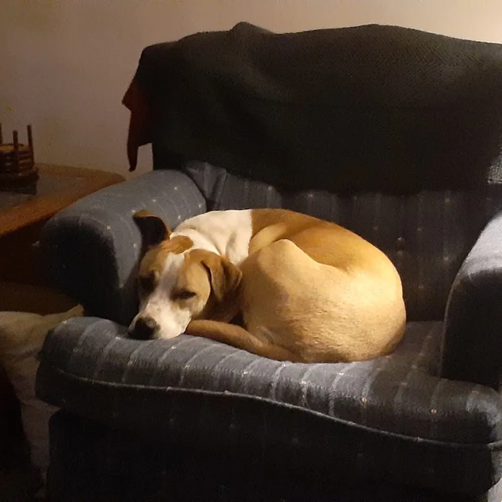 benwildner.bsky.social's profile picture