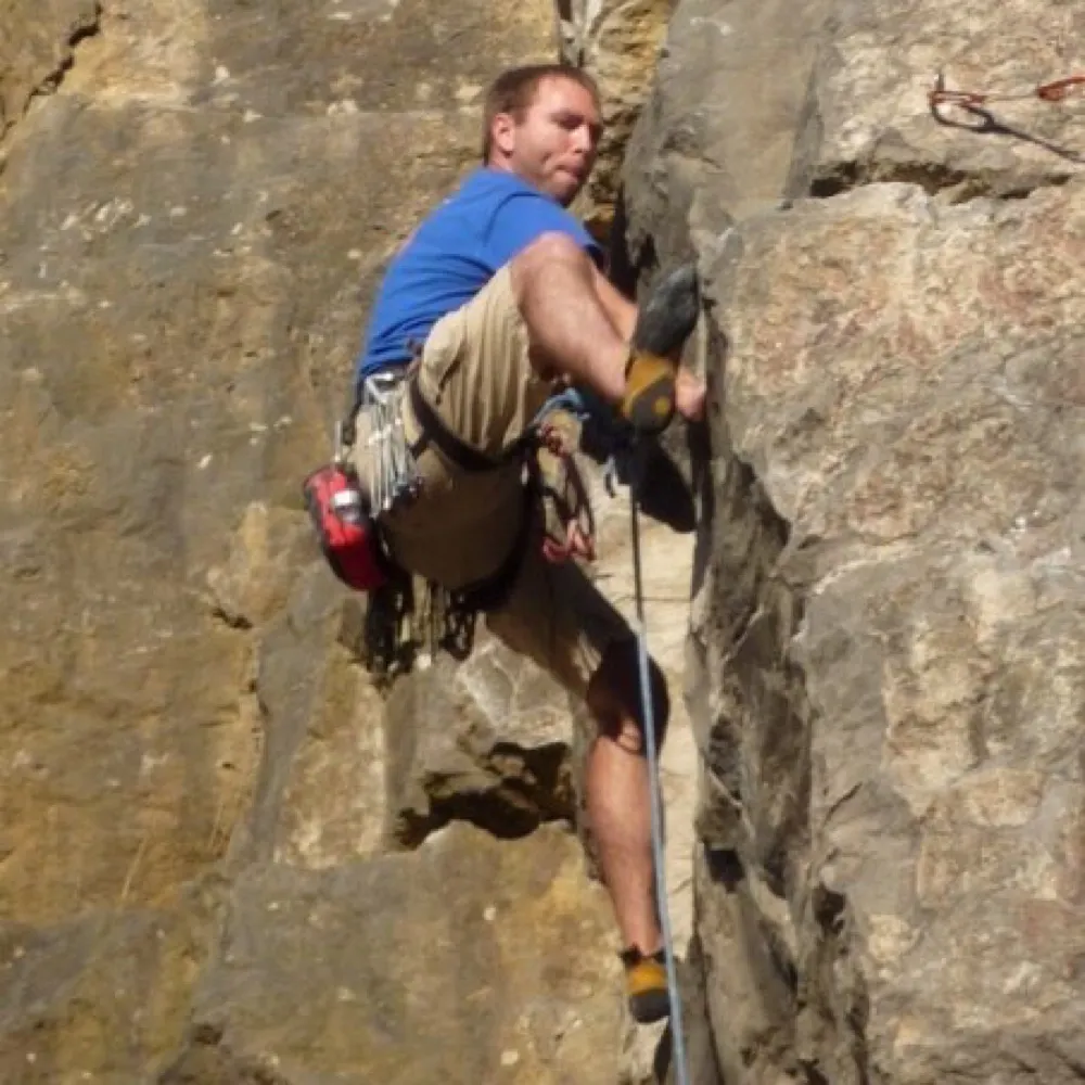 b1rdsteve.bsky.social's profile picture