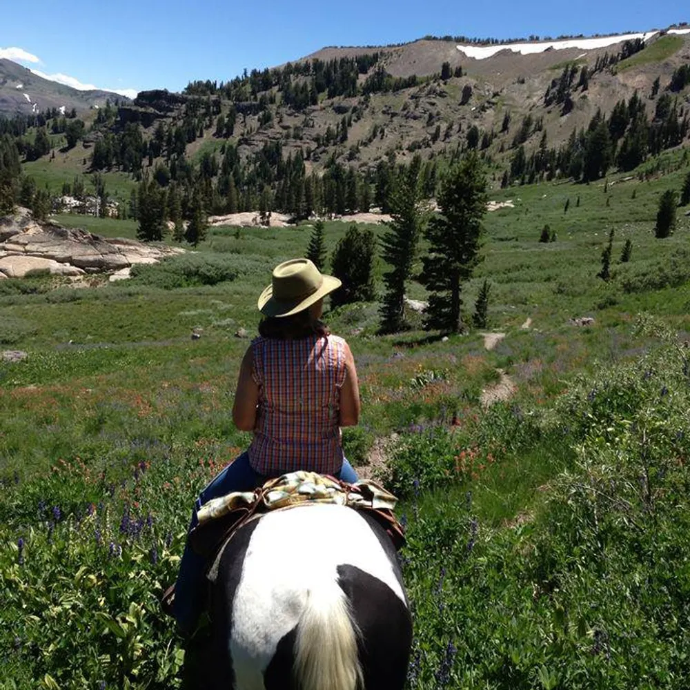 nservantes.bsky.social's profile picture