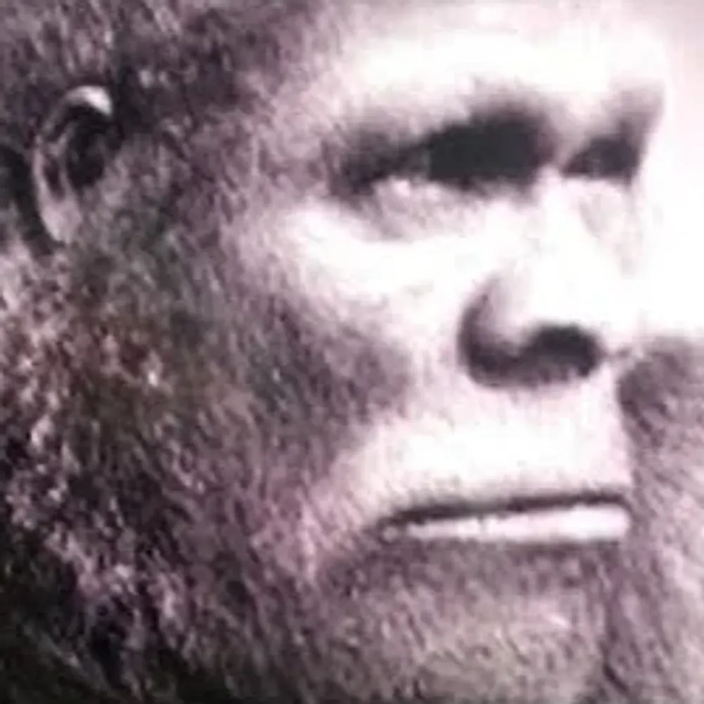 enkiduofuruk.bsky.social's profile picture