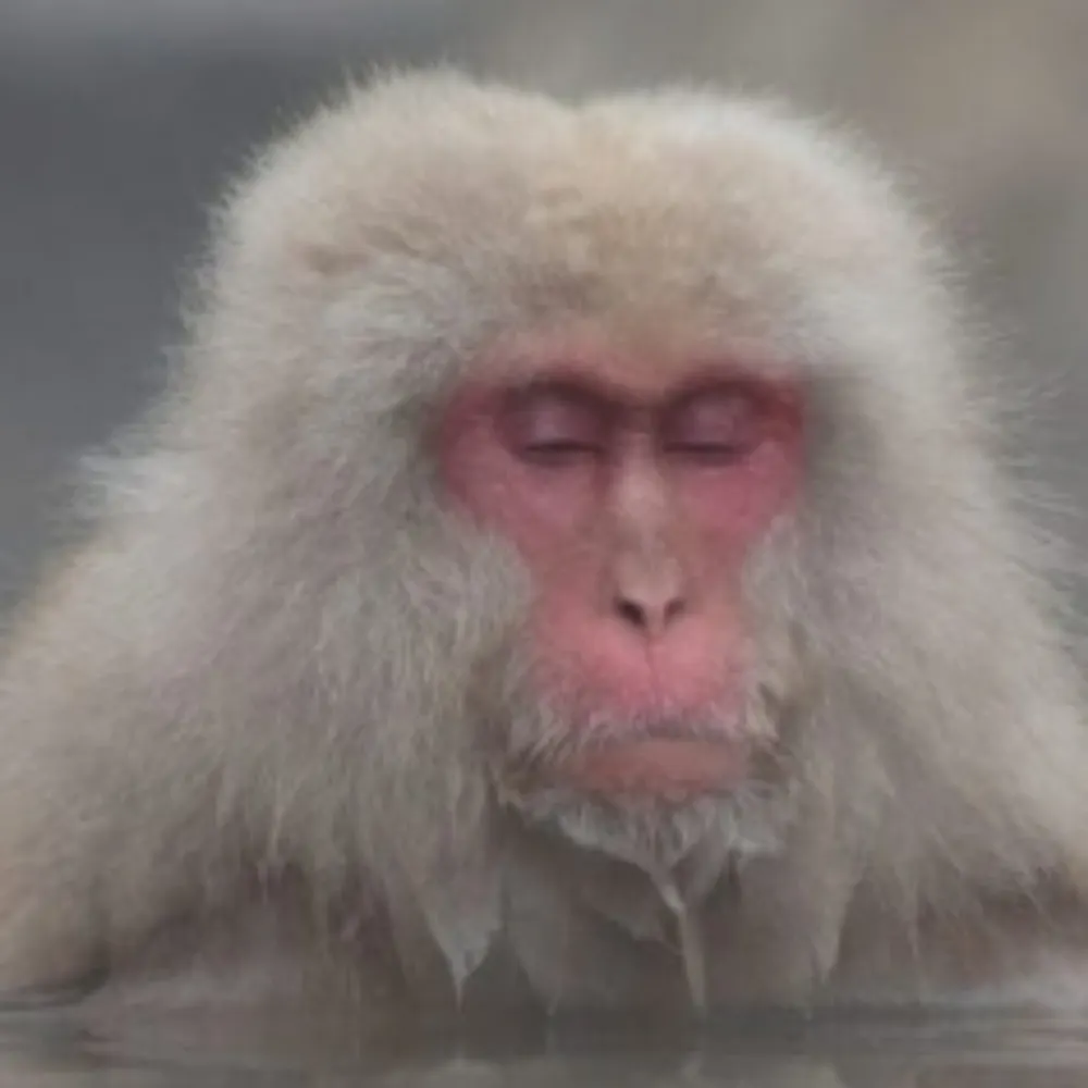 freewheeling4ft.bsky.social's profile picture