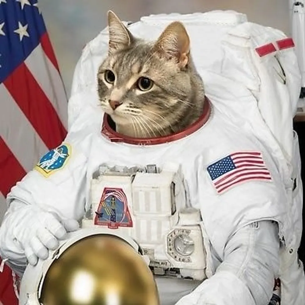 astrocat.bsky.social's profile picture