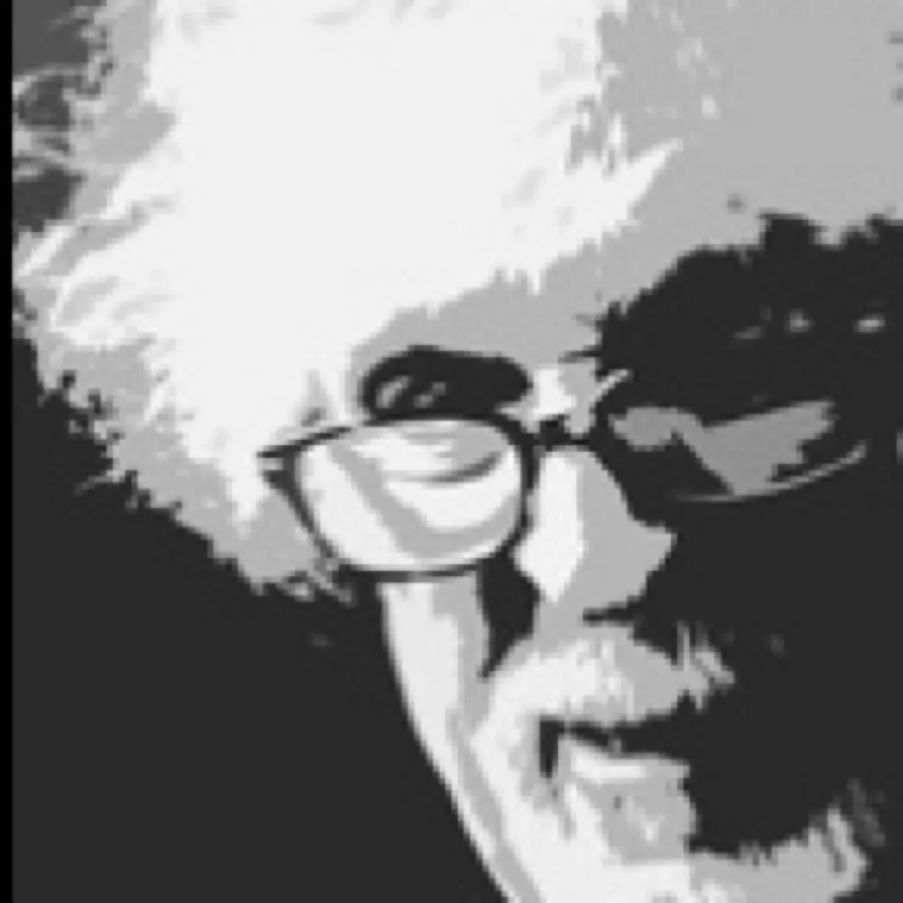 bgboogie.bsky.social's profile picture