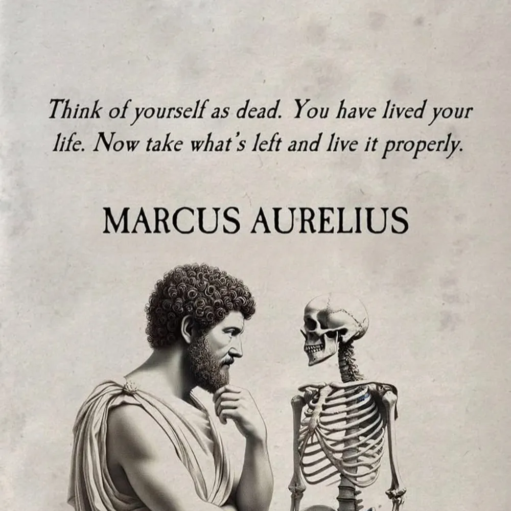 almak536.bsky.social's profile picture