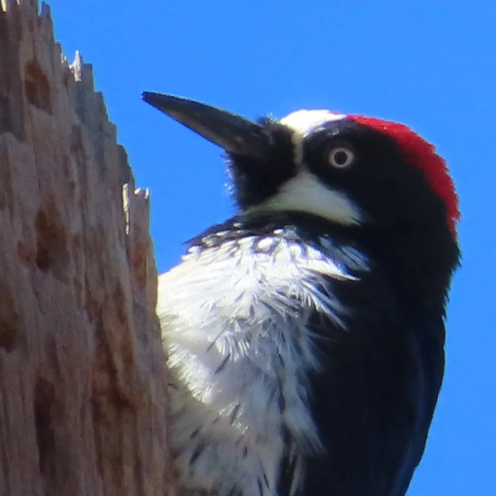 gracehobson.bsky.social's profile picture