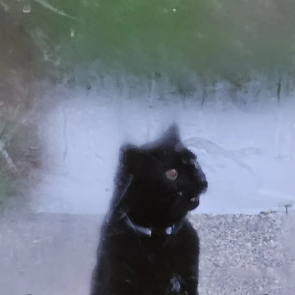 kevin80.bsky.social's profile picture