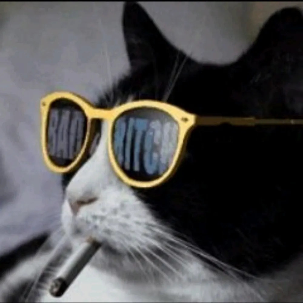 reipaiand.bsky.social's profile picture