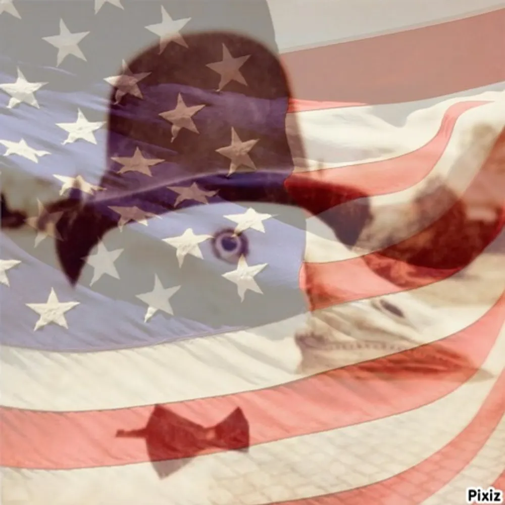 dappergander.bsky.social's profile picture