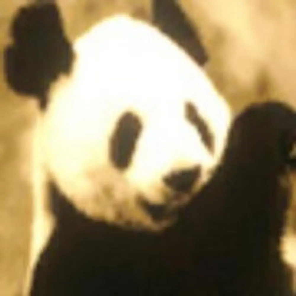 catfishsushi.bsky.social's profile picture