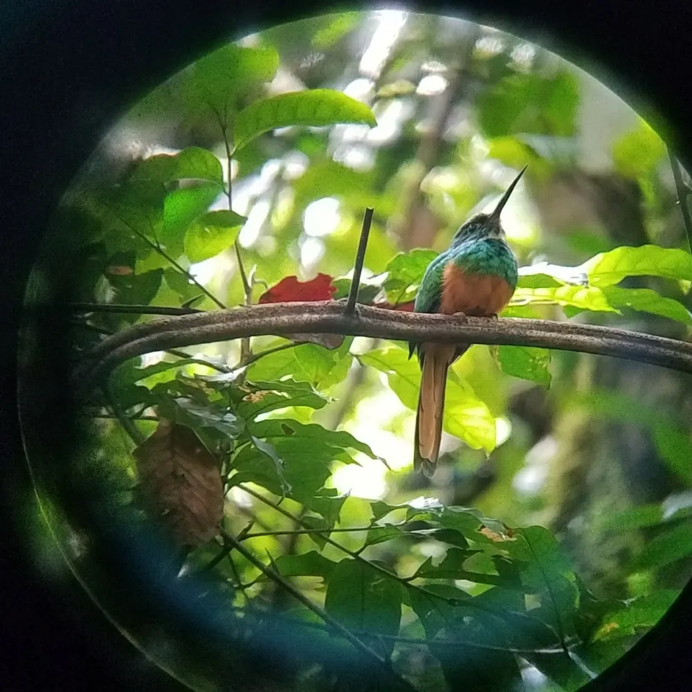 lpforrester.bsky.social's profile picture