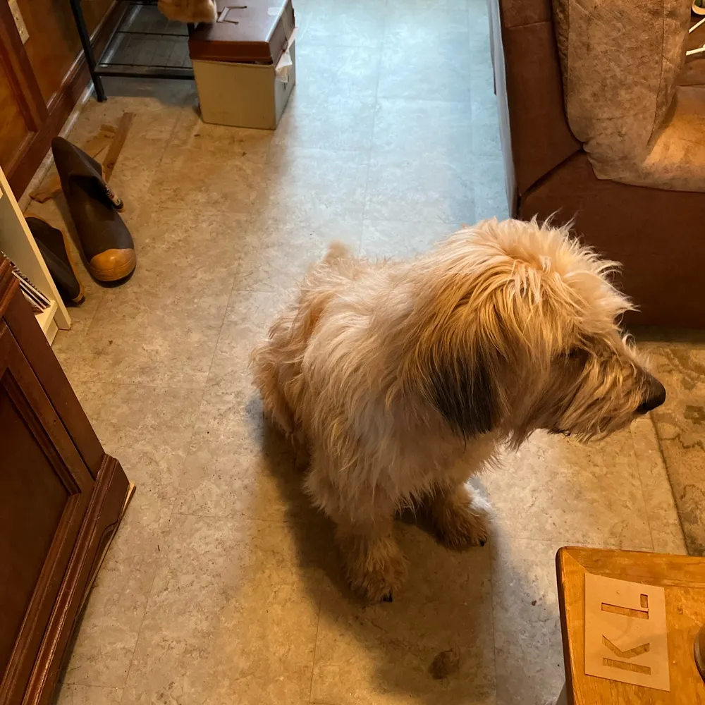 starkmojo.bsky.social's profile picture