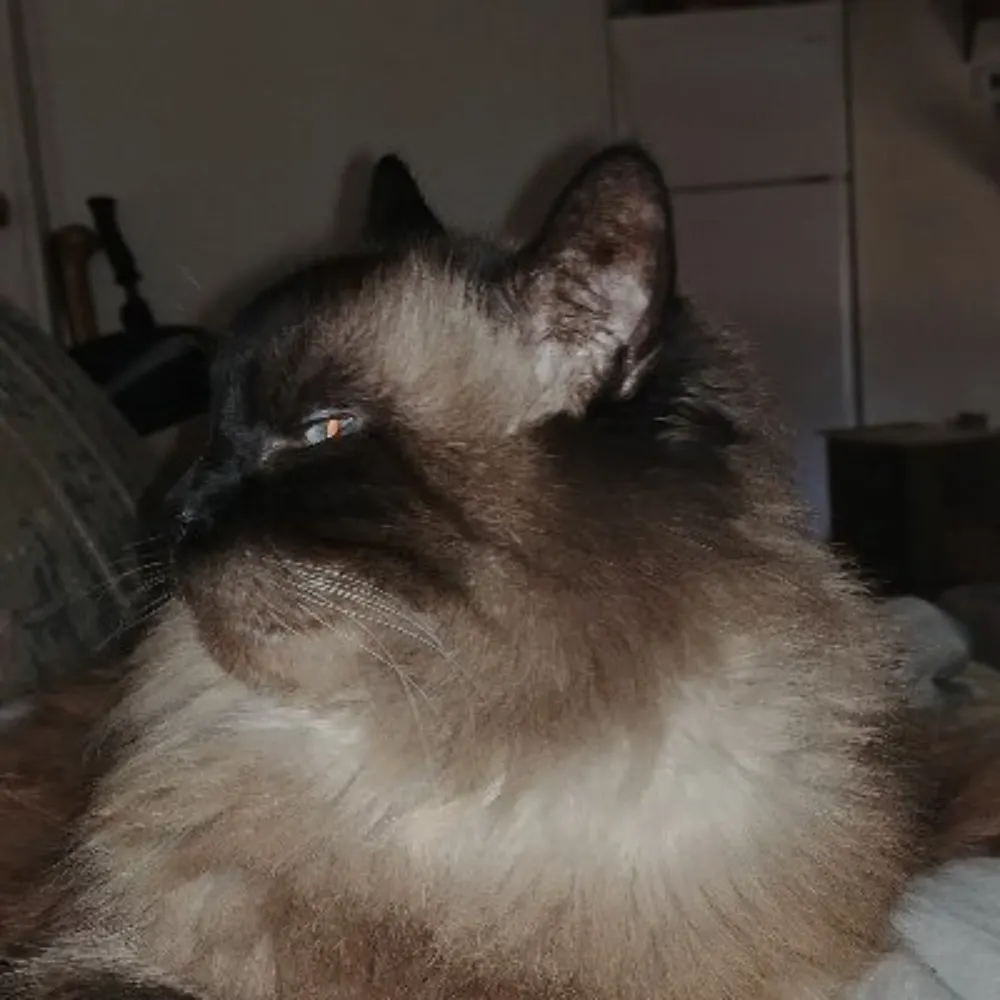 jarlent.bsky.social's profile picture