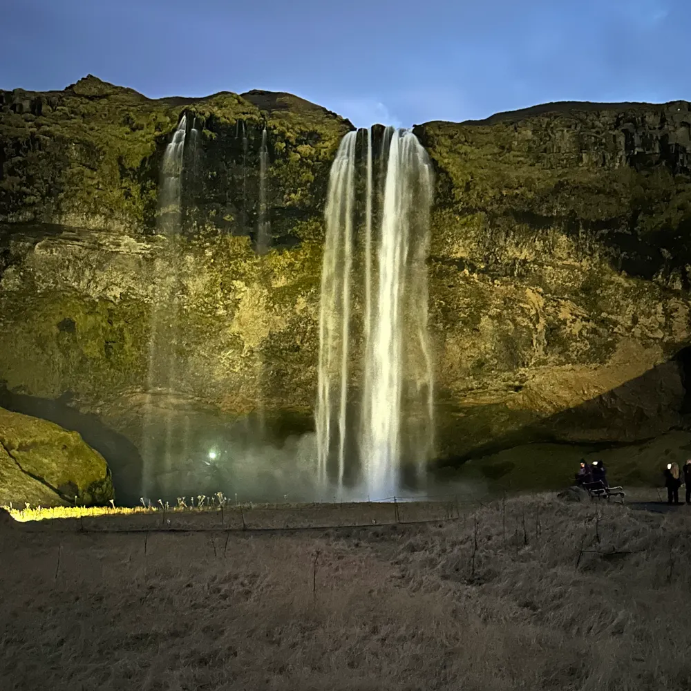 cheryljoneshead.bsky.social's profile picture