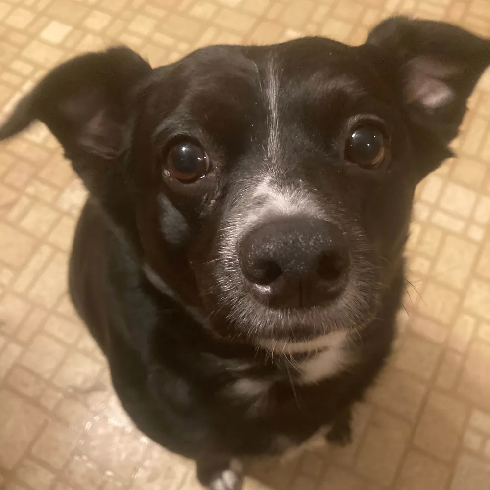 ehaynes24.bsky.social's profile picture